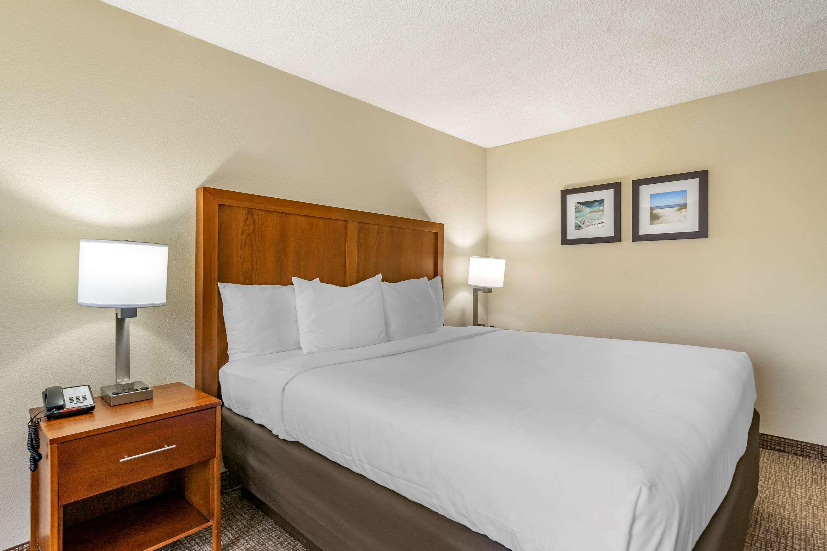 Comfort Inn & Suites St Pete - Clearwater International Airport Exterior photo