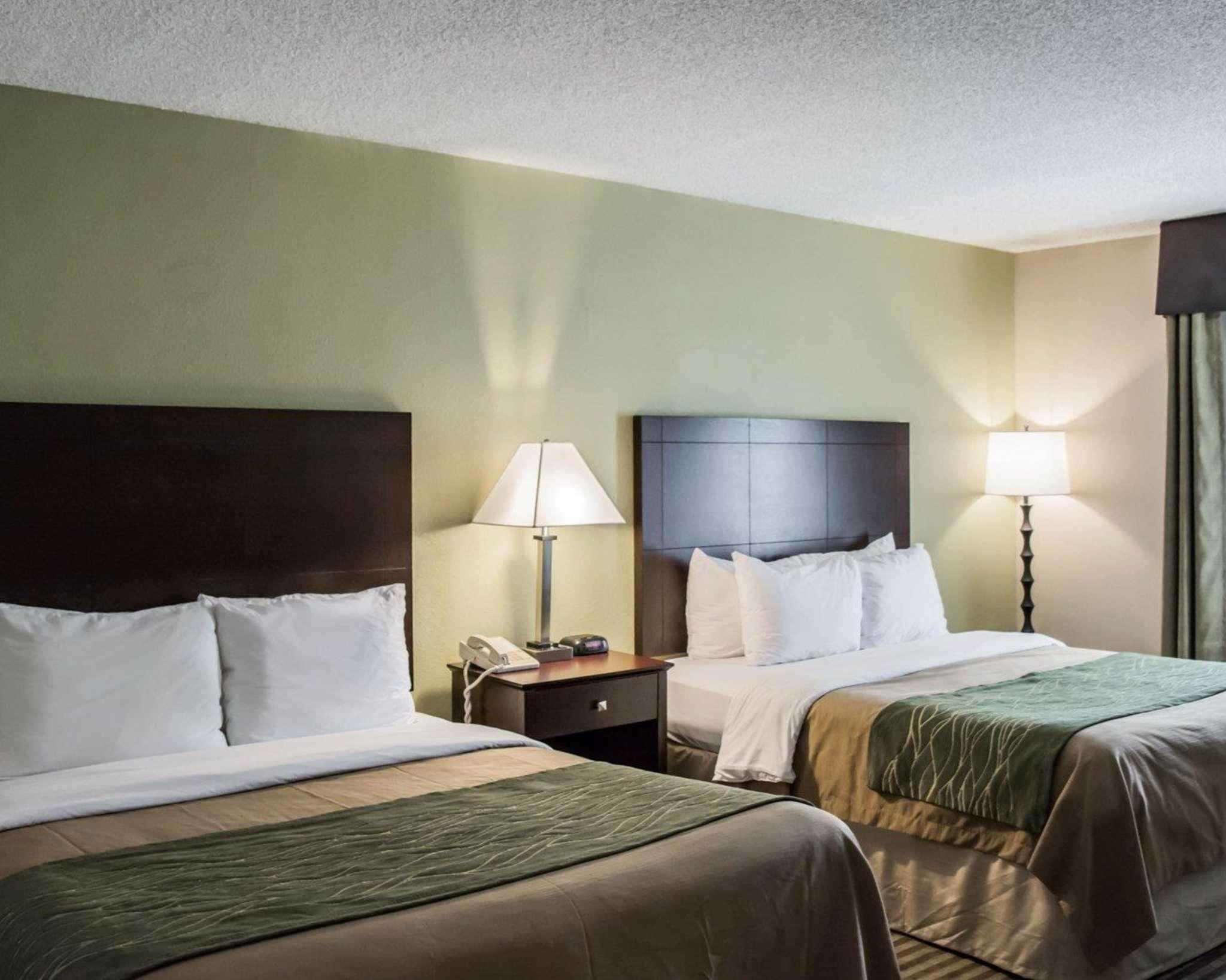 Comfort Inn & Suites St Pete - Clearwater International Airport Exterior photo