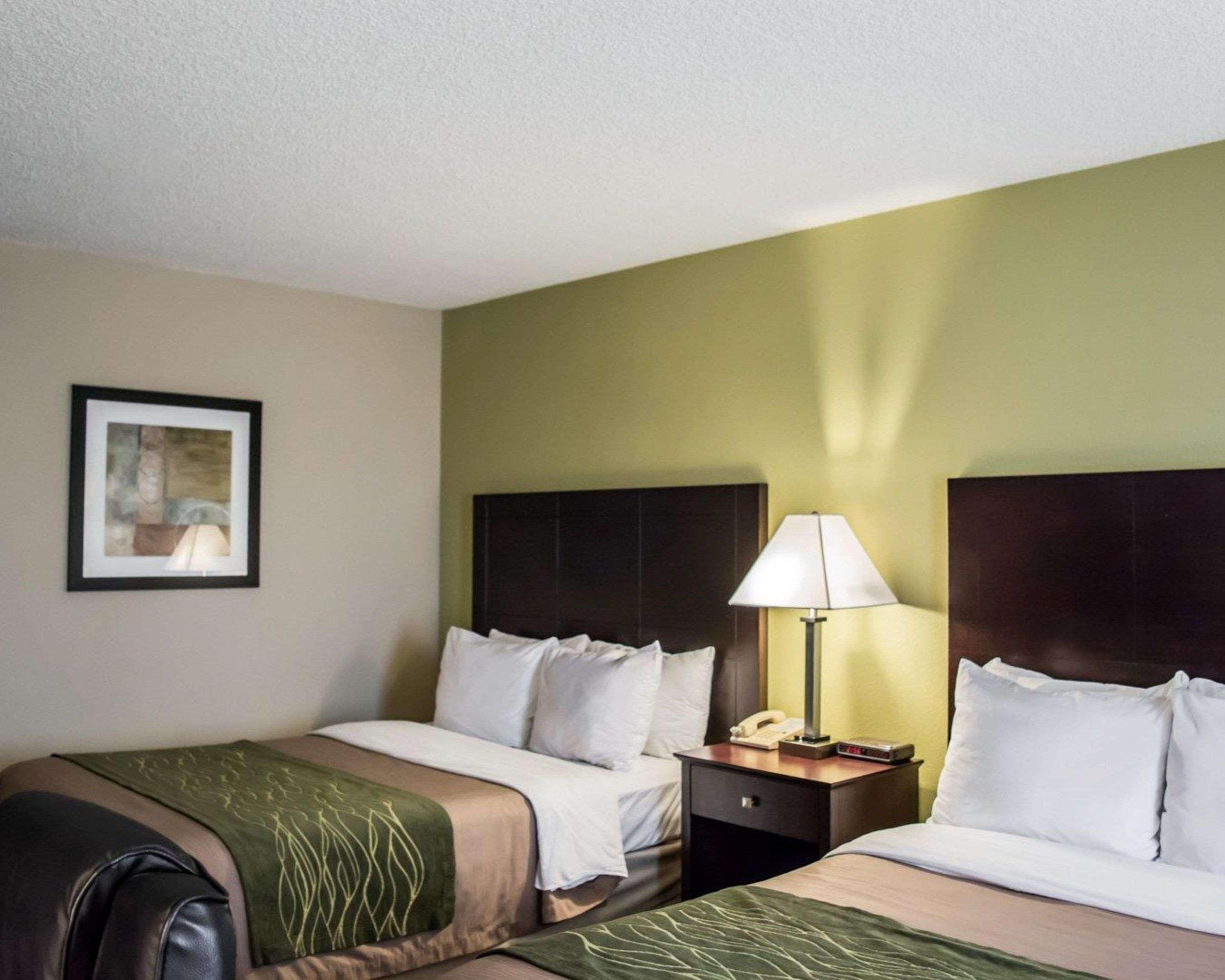 Comfort Inn & Suites St Pete - Clearwater International Airport Exterior photo