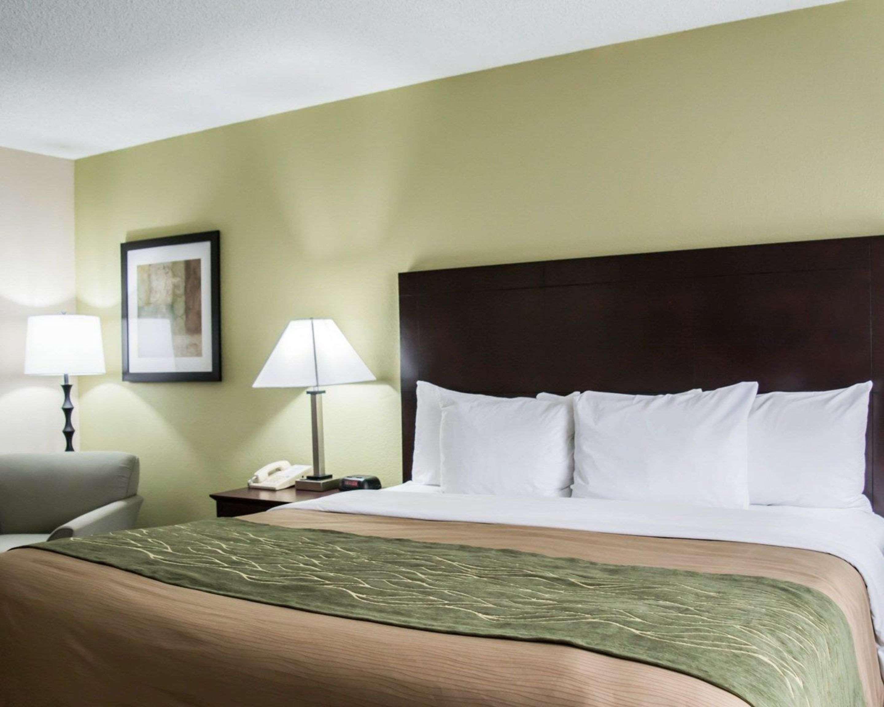 Comfort Inn & Suites St Pete - Clearwater International Airport Exterior photo