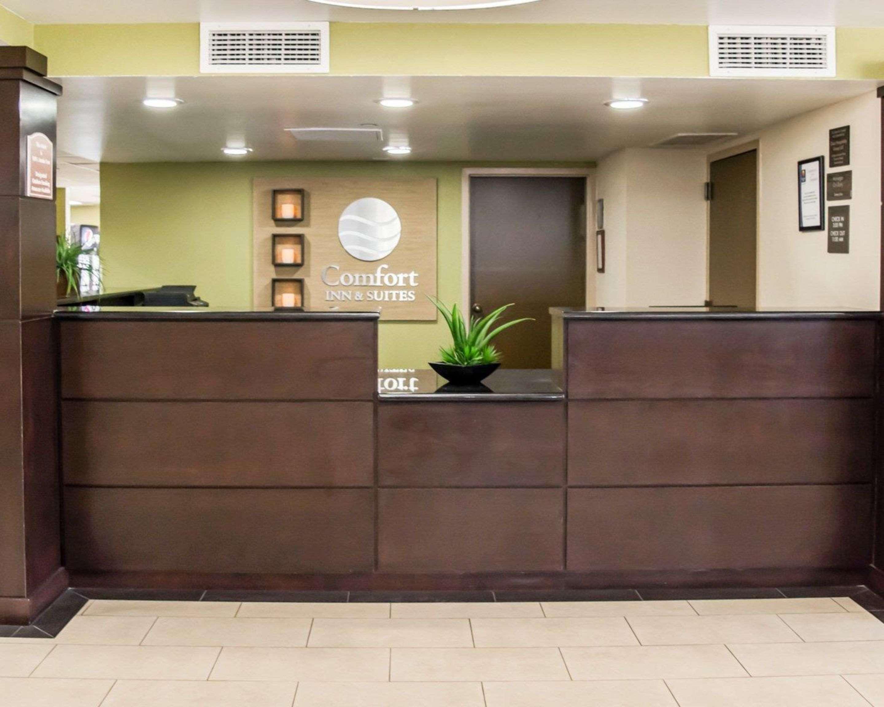 Comfort Inn & Suites St Pete - Clearwater International Airport Exterior photo