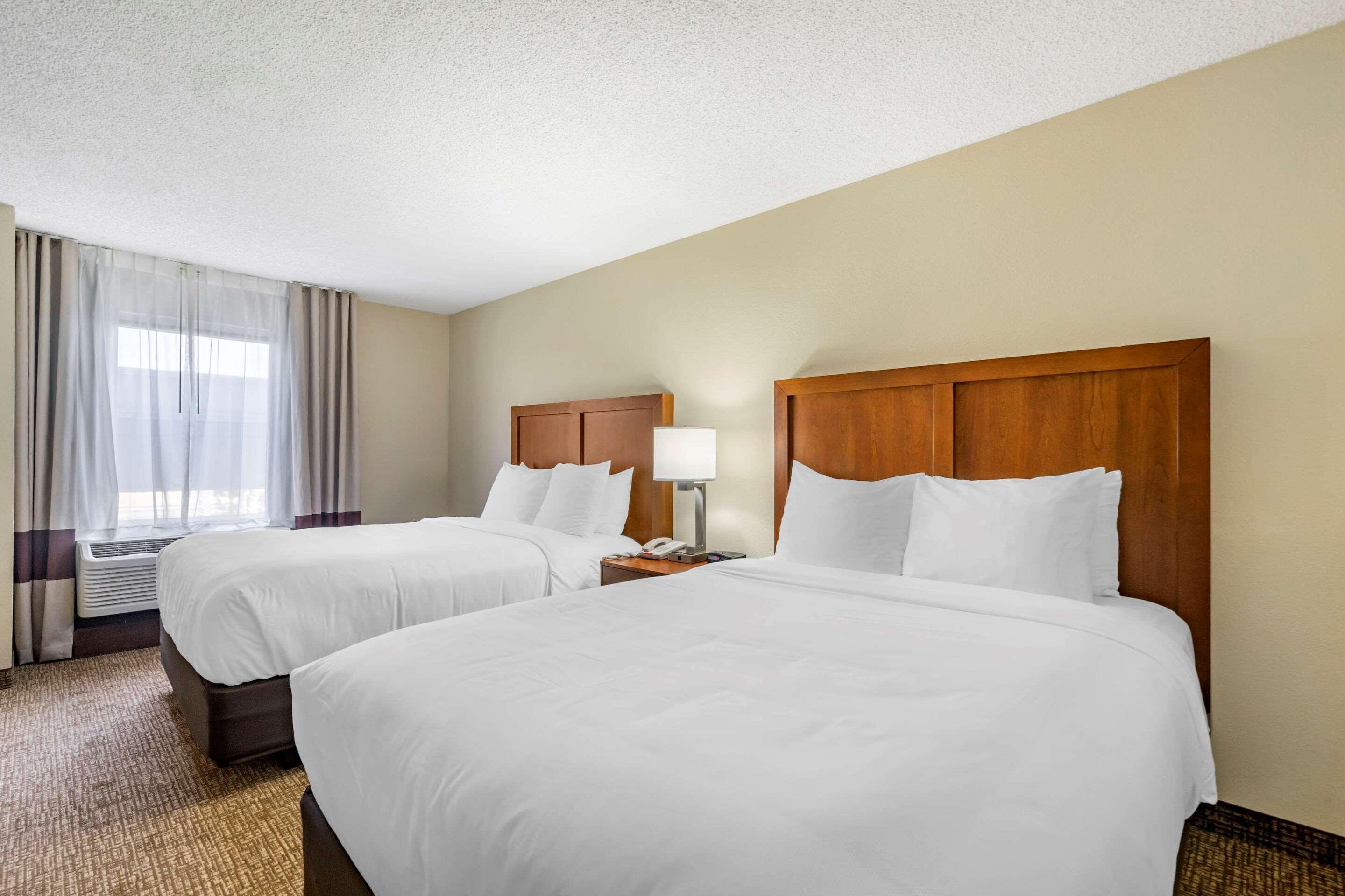 Comfort Inn & Suites St Pete - Clearwater International Airport Exterior photo